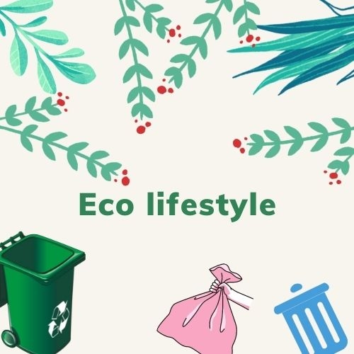 Eco lifestyle