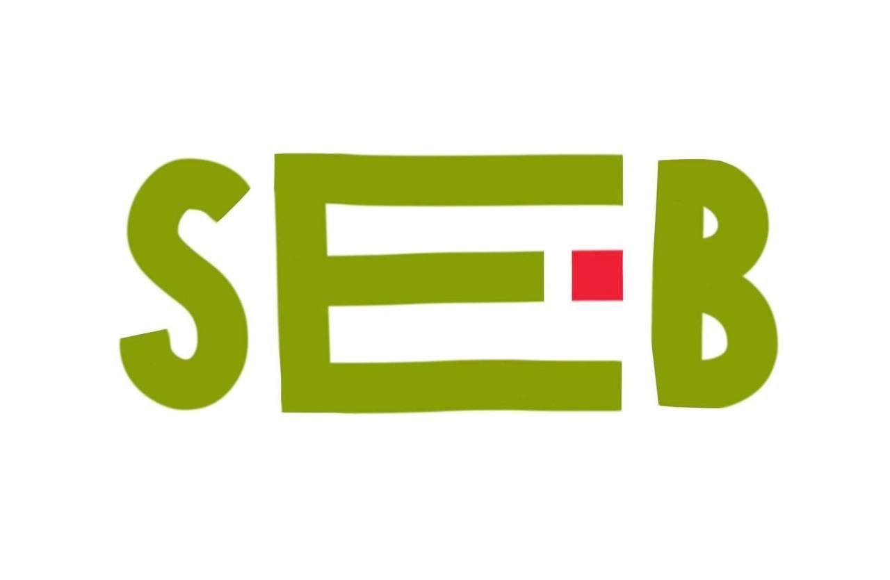 Організація навчання з психосоціальної підтримки в межах SEB-підходу для педагогів із прикордонних регіонів України