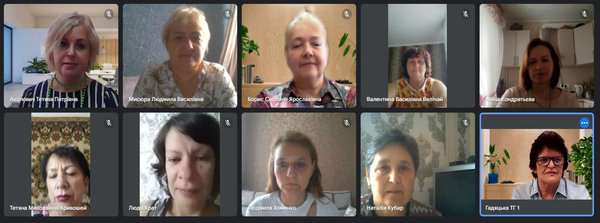 Проведено онлайнову консультацію для вчителів математики Гадяцької ТГ «Професійний розвиток вчителя. Сучасні кроки»