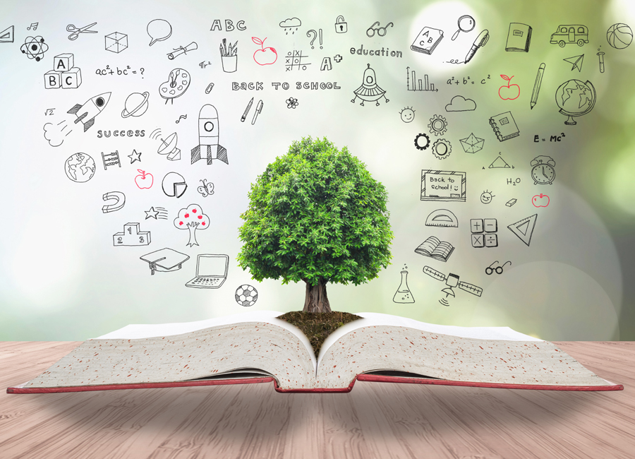 Чернишова Яна&Інна Шахно