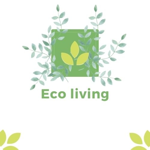 Турчин Валентина Олександрівна